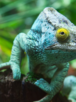 Discover Madagascar with our travel guide