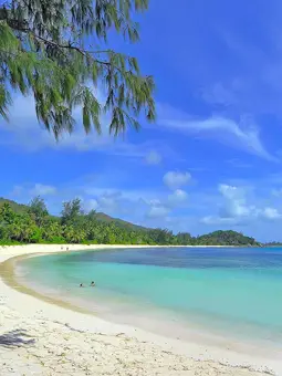 Best 5 beaches in the Seychelles